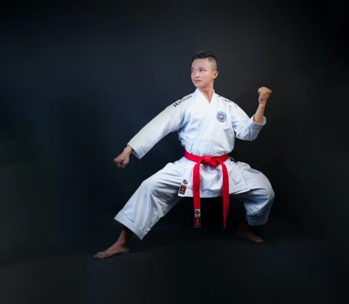 Sonkei Budo